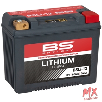 BS-BATTERY LiFePO4 Batterie - BSLI-12