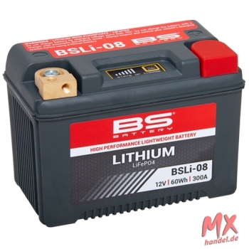 BS-BATTERY LiFePO4 Batterie - BSLI-08