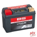 BS-BATTERY LiFePO4 Batterie - BSLI-03